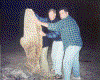 big log.gif (159353 bytes)