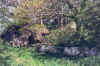 killelton1.jpg (802339 bytes)