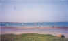 windsurfers.jpg (510136 bytes)